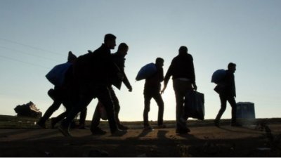 Гранична полиция е заловила над 1200 нелегални мигранти от началото на годината