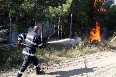Два хеликоптера и 100 души се борят с пожара в Родопите