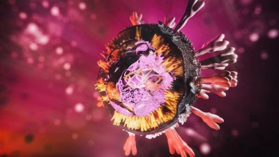 Руснак превъртя вируса: Има 27 000 антитела