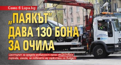 Само в Lupa.bg: „Паякът” дава 130 бона за очила