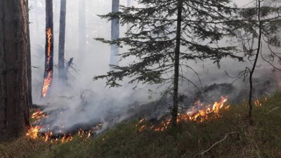 37 военни и вертолет в битка с пожара в Югово