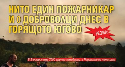 РЕЗИЛ: Нито един пожарникар и 0 доброволци днес в горящото Югово