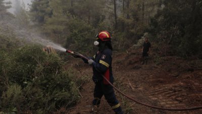 Нов голям пожар на гръцкия о-в Евбея