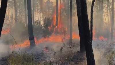 Щети и жертви на капризите на времето по света