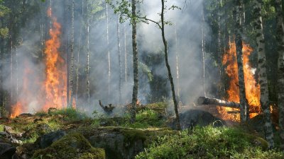 Пожар захапа Атон