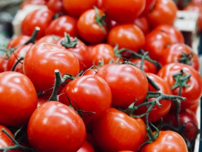 Mъж замеря официалните гости на празника на Берковица с домати