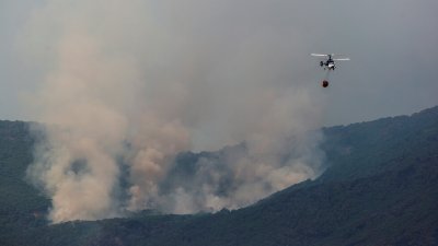 Овладяха опустошителния пожар, който бушува в Южна Испания