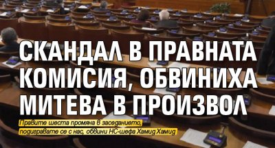 Скандал в правната комисия, обвиниха Митева в произвол