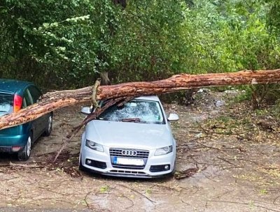 Заради бурята в Ловеч: Десетки коли са потрошени 