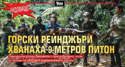 Чудовище: Горски рейнджъри хванаха 9-метров питон