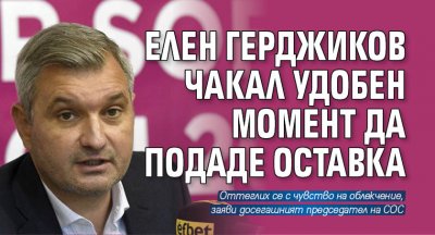 Елен Герджиков чакал удобен момент да подаде оставка