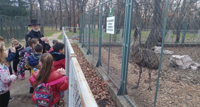 Зоопаркът в Хасково най-накрая получи лиценз