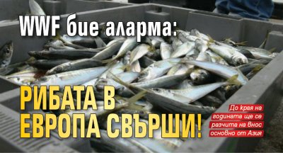 WWF бие аларма: Рибата в Европа свърши!