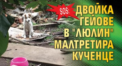 SOS: Двойка гейове в "Люлин" малтретира кученце