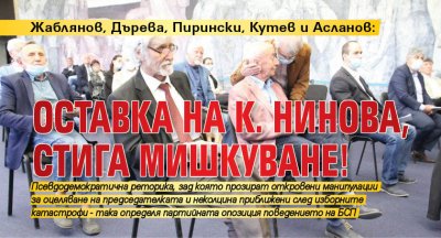 Жаблянов, Дърева, Пирински, Кутев и Асланов: Оставка на К. Нинова, стига мишкуване!