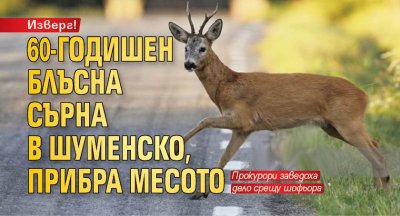 Изверг! 60-годишен блъсна сърна в Шуменско, прибра месото