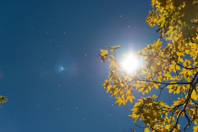 Времето ще е слънчево, температурите стигат 24 градуса