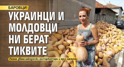 БАРОВЦИ! Украинци и молдовци ни берат тиквите