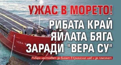 Ужас в морето! Рибата край Яйлата бяга заради "Вера Су"