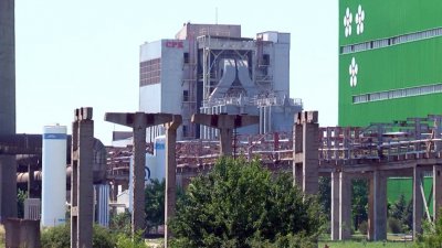„Свилоза” спря работата - няма дървесина