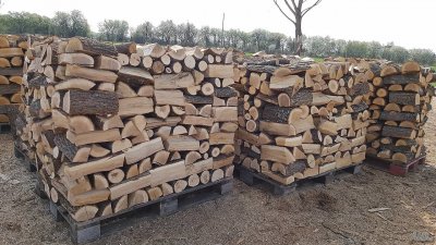 Скъпият ток вдигна цената на дървата