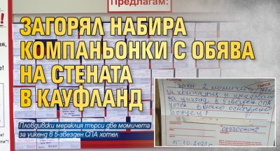 Загорял набира компаньонки с обява на стената в Кауфланд