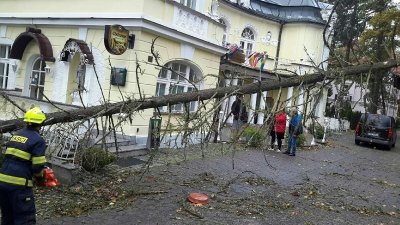 Ураган остави без ток 300 хиляди души в Чехия