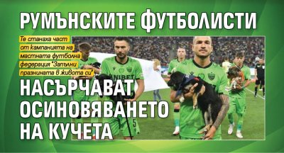 Румънските футболисти насърчават осиновяването на кучета