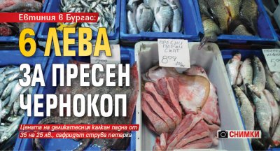 Евтиния в Бургас: 6 лева за пресен чернокоп (СНИМКИ)