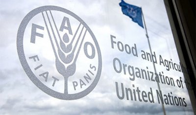 Ръст на световните цени на храните през октомври до нов 10-годишен връх