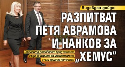 Видовден дойде: Разпитват Петя Аврамова и Нанков за "Хемус"