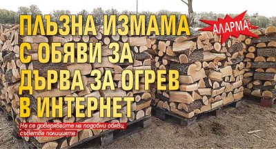 АЛАРМА: Плъзна измама с обяви за дърва за огрев в интернет