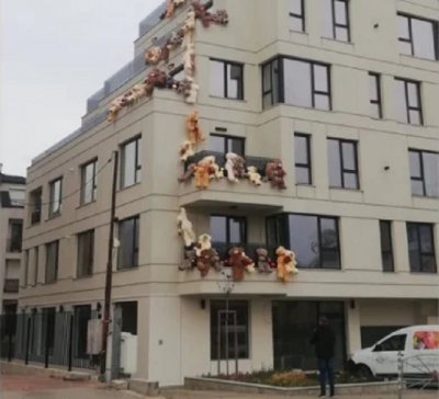 Мечки полазиха сграда на "Черни връх"