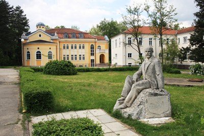 Мургава собственичка на магазин във Вършец на пазар за гласове