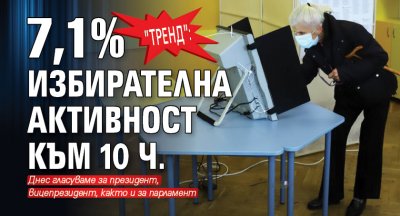 "Тренд": 7,1% избирателна активност към 10 ч.