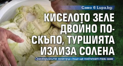 Само в Lupa.bg: Киселото зеле двойно по-скъпо, туршията излиза солена