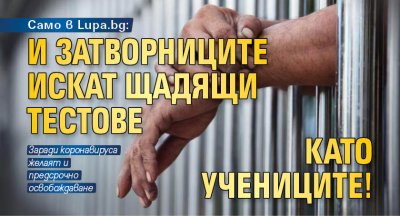 Само в Lupa.bg: И затворниците искат щадящи тестове като учениците!