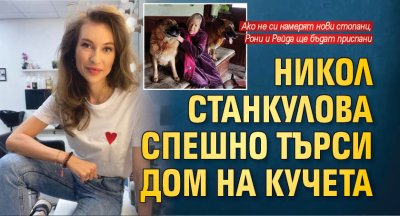 Никол Станкулова спешно търси дом на кучета