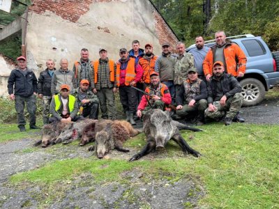 30 диви свине думнаха ловците в Млечино