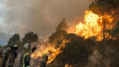 Два хеликоптера и 50 огнеборци гасят пожар в Гърция