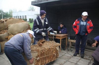 Тютюнопроизводители блокираха пътя между Гърмен и Сатовча