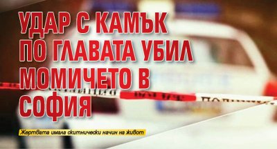 Удар с камък по главата убил момичето в София