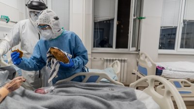 Вирусът в Монтана: Две жени загубиха живота си, бебе се зарази