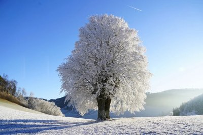 ПРОГНОЗА: На изток сняг, за запад - слънце