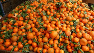 За Никулден разкриха измама с… мандарини