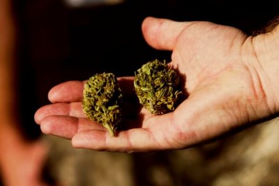Задържаха двама мъже с канабис в Благоевград