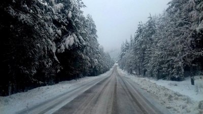 Снегът спря камионите пред прохода „Рожен”