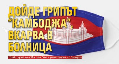 Дойде грипът "Камбоджа", вкарва в болница