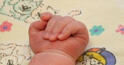 Кучета спасиха от смърт изхвърлено новородено в Индия