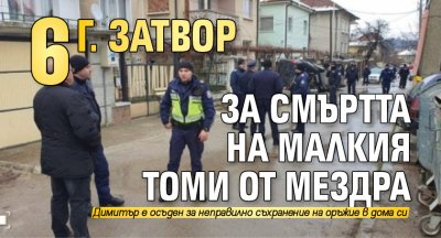 6 г. затвор за смъртта на малкия Томи от Мездра 